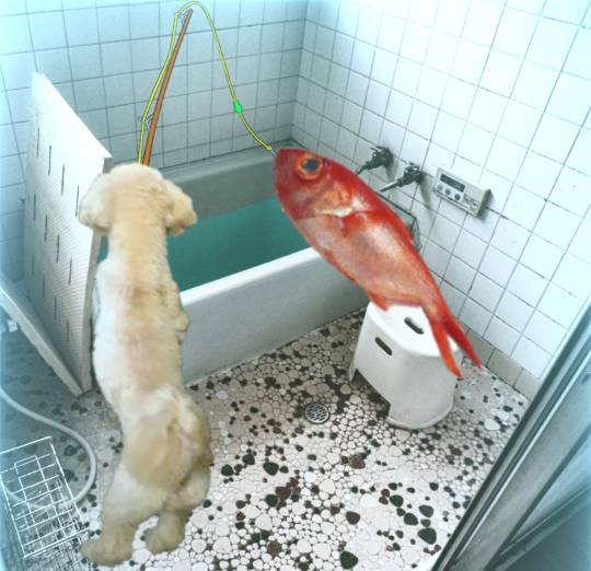 生き物ルーム第35