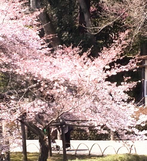 マスク同窓会詰所兼ニューフェイス歓迎所16