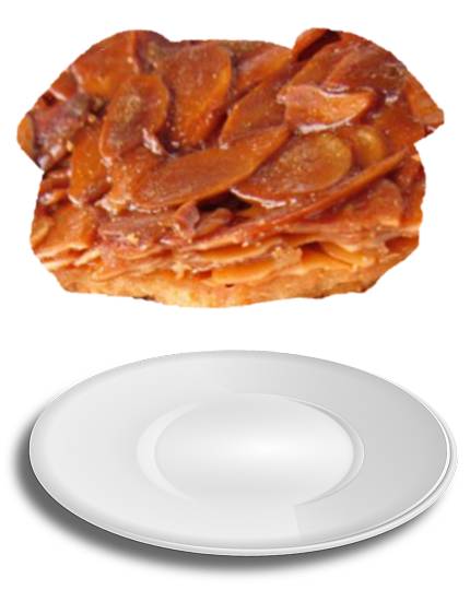 生き物ルーム第34