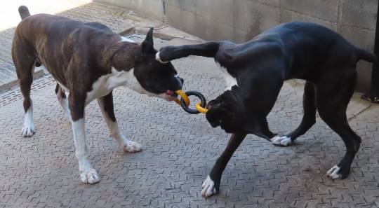 生き物ルーム第35