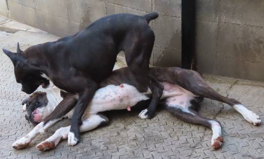 生き物ルーム第35