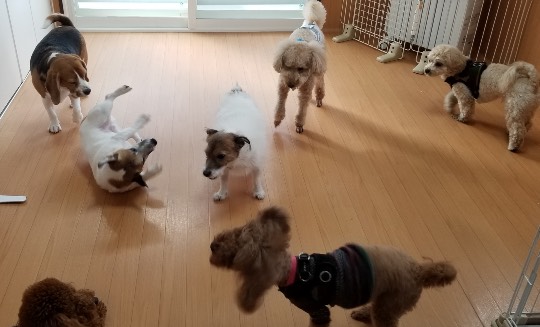 生き物ルーム第34