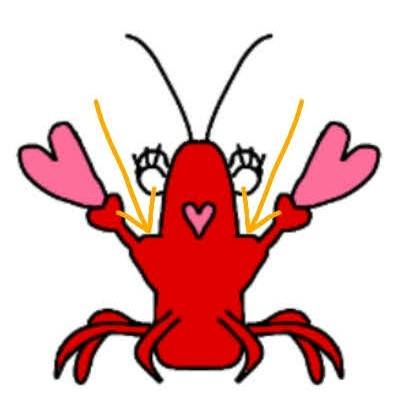 生き物ルーム第34