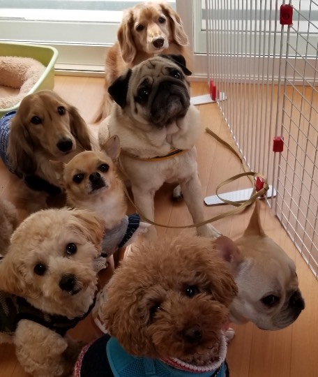 生き物ルーム第34