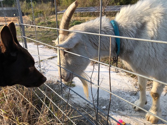 生き物ルーム第35