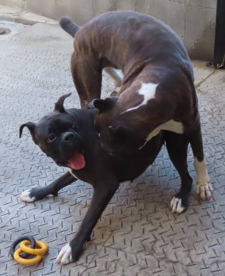 生き物ルーム第35