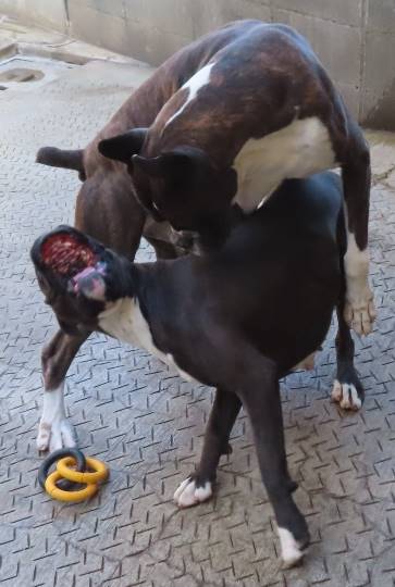 生き物ルーム第35