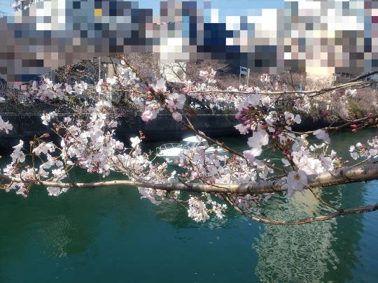 マスク同窓会詰所兼ニューフェイス歓迎所16