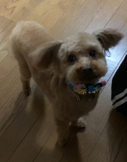 生き物ルーム第36