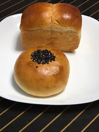 マスク同窓会詰所兼ニューフェイス歓迎所13