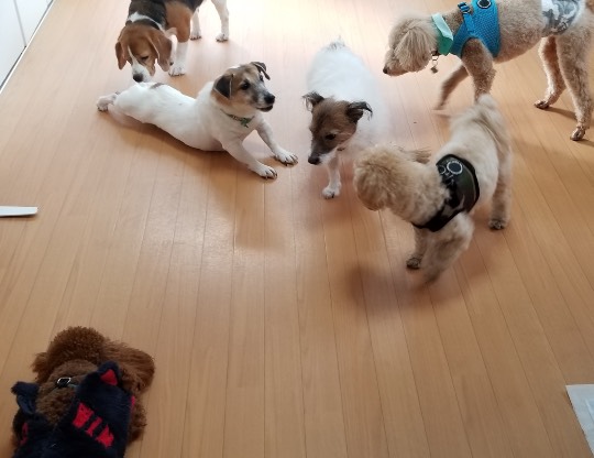 生き物ルーム第34