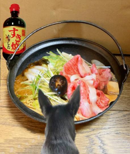 生き物ルーム第34