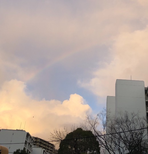 ★ドンキ♡♡ロピア 雑談14★