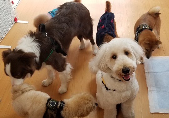 生き物ルーム第34