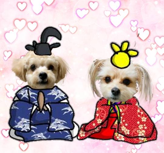 生き物ルーム第34