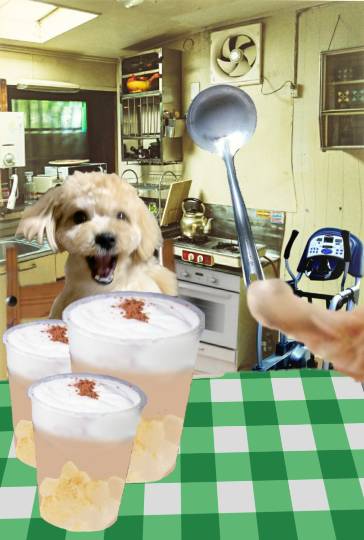 生き物ルーム第35