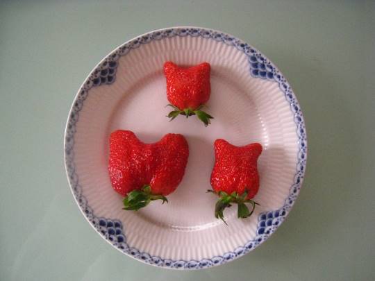 【スナックJINJIN】今日は1周年&11号店 めでて~なぁ~