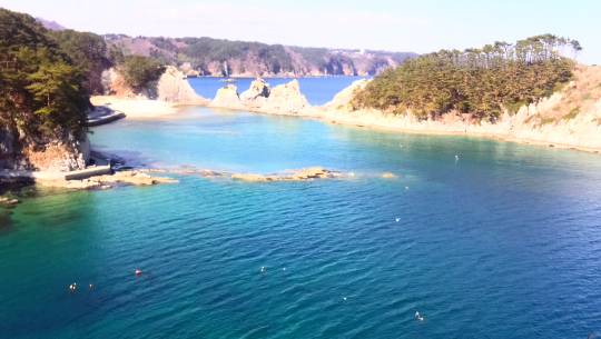 ★ドンキ♡♡ロピア 雑談13★