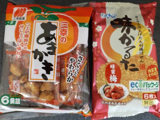 マスク同窓会詰所兼ニューフェイス歓迎所15