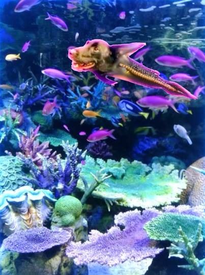 生き物ルーム第35