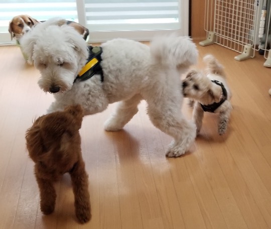 生き物ルーム第36