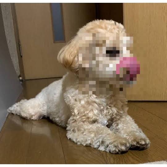 生き物ルーム第34