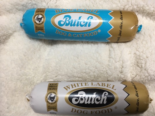 生き物ルーム第36