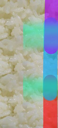 生き物ルーム第35