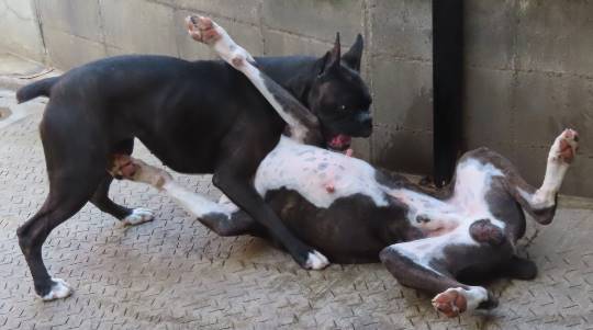 生き物ルーム第35