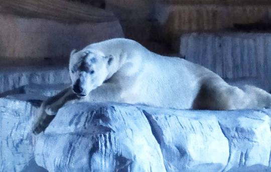 生き物ルーム第34