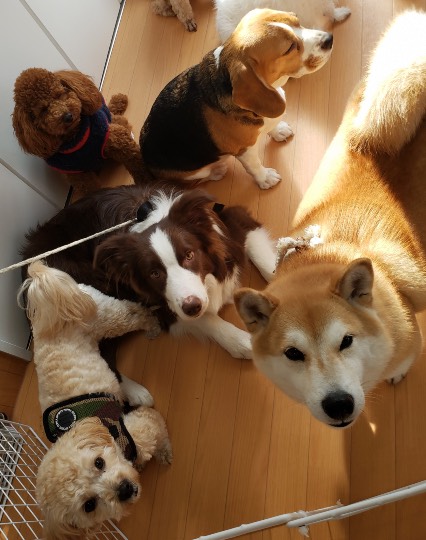 生き物ルーム第33