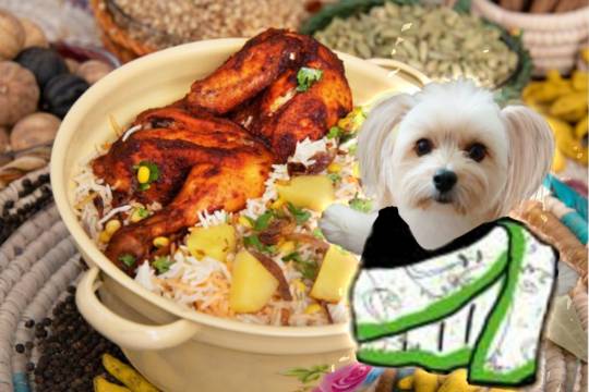 生き物ルーム第34