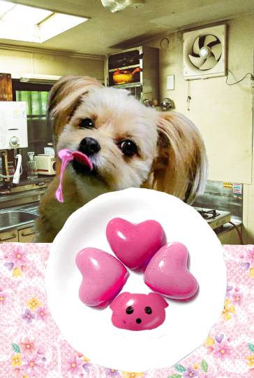 生き物ルーム第34