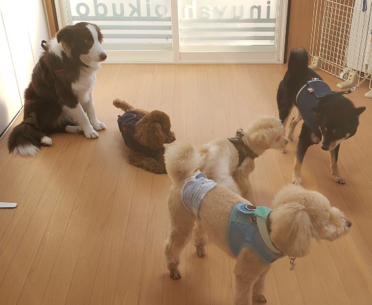 生き物ルーム第33