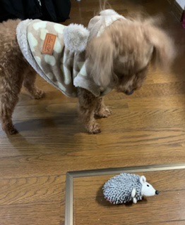 生き物ルーム第34