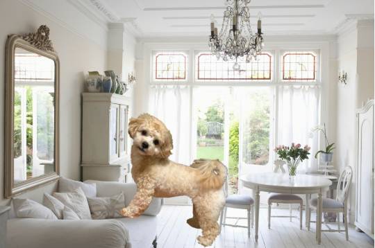 生き物ルーム第35