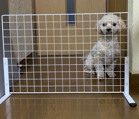 生き物ルーム第36