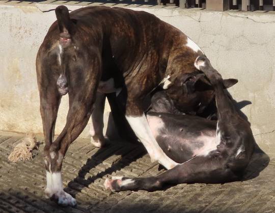 生き物ルーム第34