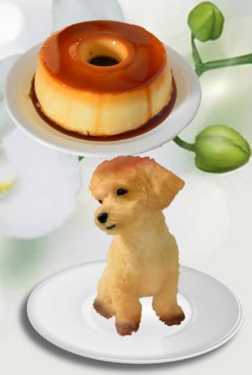 生き物ルーム第35