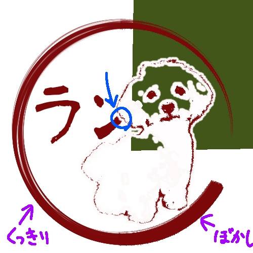 生き物ルーム第36