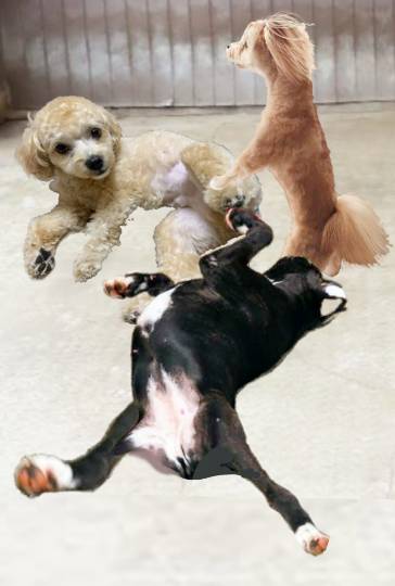 生き物ルーム第34