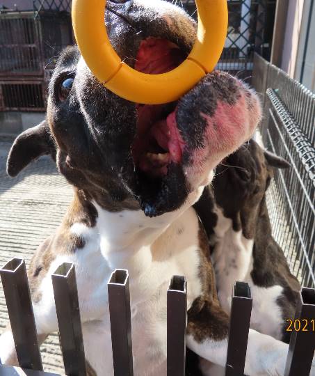 生き物ルーム第34