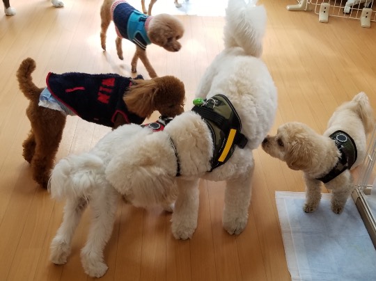 生き物ルーム第34