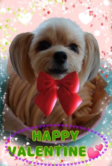 生き物ルーム第34