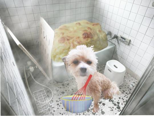 生き物ルーム第34