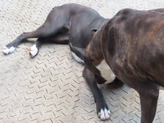 生き物ルーム第34