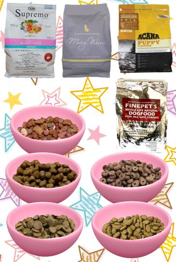 生き物ルーム第36