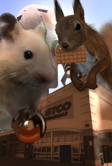 生き物ルーム第34