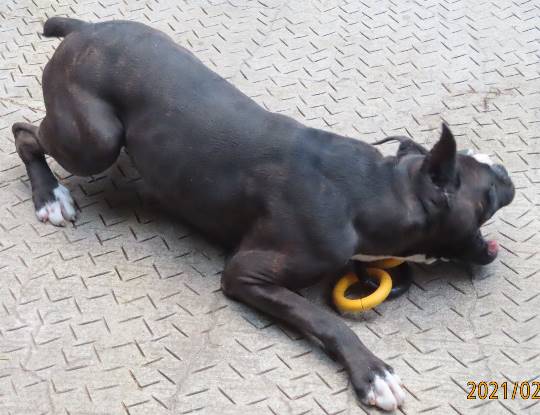 生き物ルーム第34