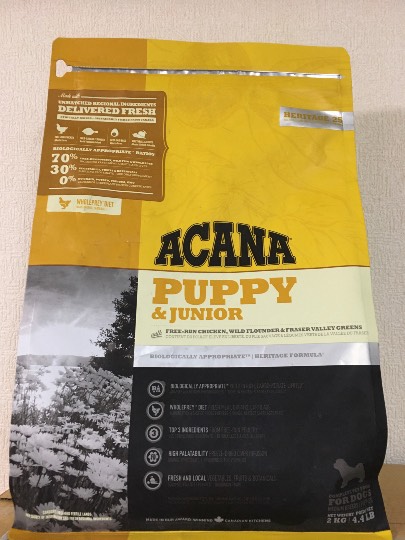 生き物ルーム第36